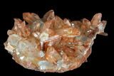 Natural, Red Quartz Crystal Cluster - Morocco #88925-1